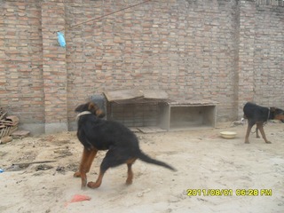 SAM_0555