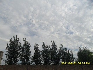 SAM_0553