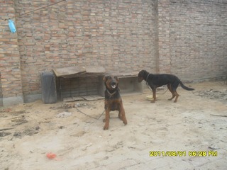 SAM_0556