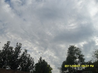 SAM_0546