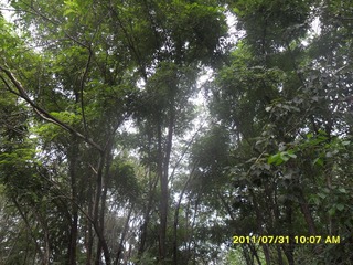 SAM_0448