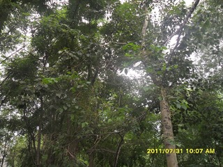 SAM_0449
