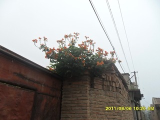 SAM_0630