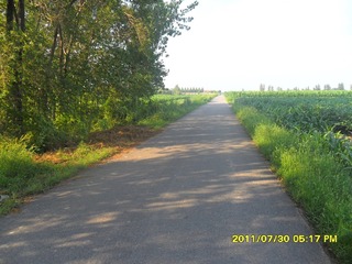 SAM_0413