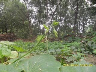SAM_0444