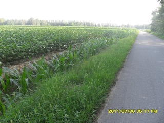 SAM_0412