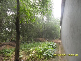 SAM_0450