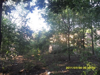SAM_0431