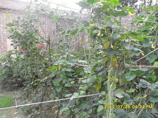 SAM_0307