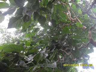SAM_0640