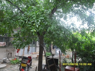 SAM_0637