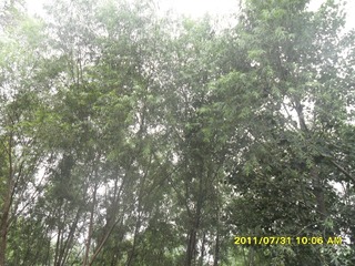 SAM_0445