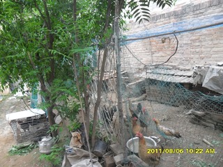 SAM_0635