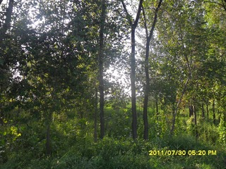 SAM_0422