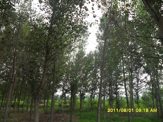 SAM_0510