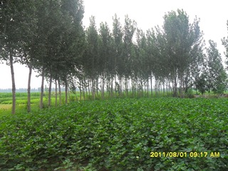 SAM_0507