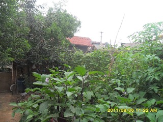 SAM_0652
