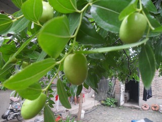 SAM_0668
