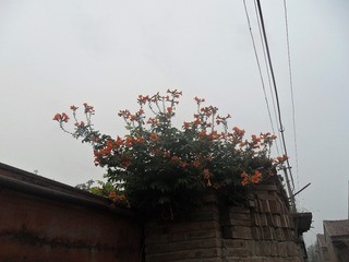 SAM_0700