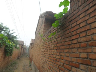 SAM_0705