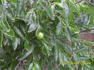 SAM_0655