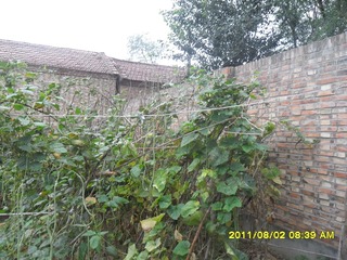 SAM_0568