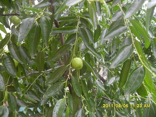 SAM_0653