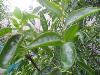 SAM_0658