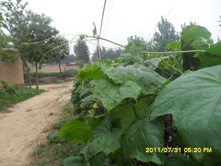 SAM_0479