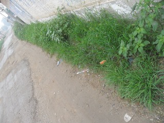 SAM_0691