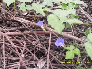 SAM_0508
