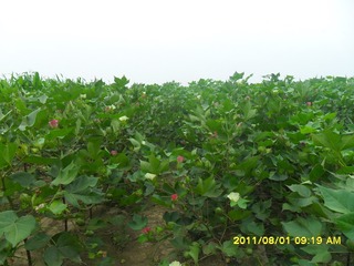 SAM_0511