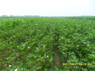 SAM_0512