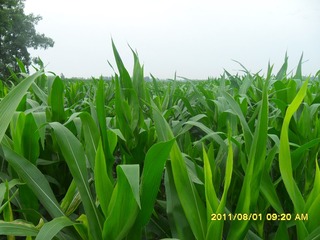 SAM_0514