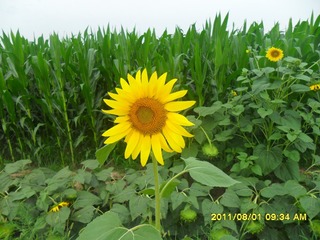 SAM_0530