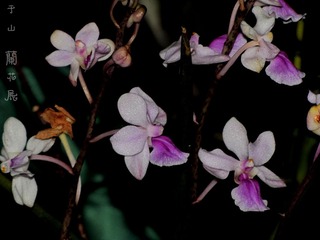 照片 071.jpg