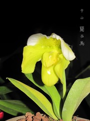 照片 124.jpg