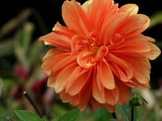 照片 020.jpg