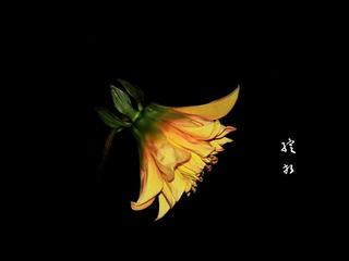 照片 049.jpg