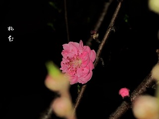 照片 068.jpg