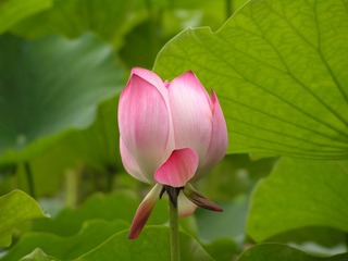 19002