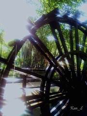 2011-11-29 09.14.06_副本.jpg