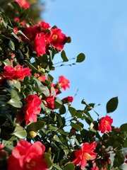 6D8BC16E-3264-46BB-8B8F-D360899E6C49/L0/001