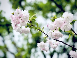 AE97A1C5-B017-4F6D-8D03-6A2D287472AD/L0/001