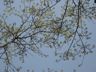 DSCF6049.JPG