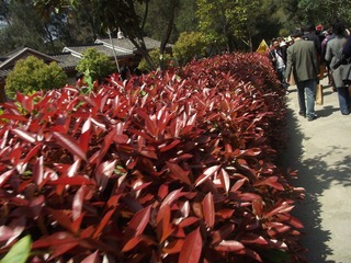 DSCF6058.JPG