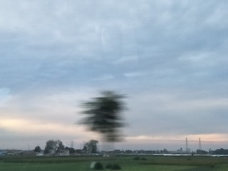 1268976
