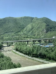 D3D04DD4-3084-426F-A50A-25AB5E05A8BD/L0/001