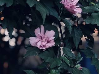 6FE0C67F-4A03-49B1-9006-D9B23C9E7B4D/L0/001