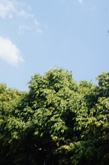 264372